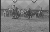 Tom Ferguson Steer wrestling