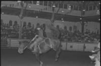 Gene Bader on Stetson