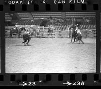 Terry Lewis Calf roping