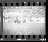 Nathan Haley  Steer wrestling