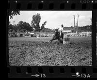 Jolynn Potter Barrel racing