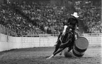 Noel Matthews Barrel racing