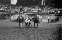 Tony Weise Steer wrestling