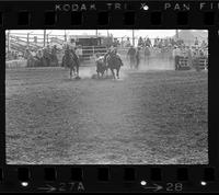 Gene McCoy Steer wrestling