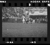 Stan Christian Steer wrestling