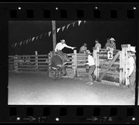 Unidentified Bull rider