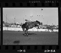 Ronnie Proctor on Calamity Jane