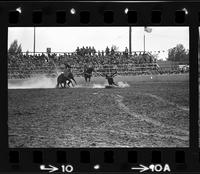 Dick Hoose Calf roping, 10.8 Sec