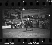 Unidentified Saddle bronc rider