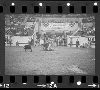 Stan Harter Calf roping