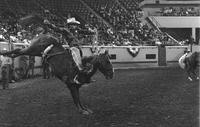 Jan Jones Barrel racing