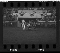 Rick Bradley Steer wrestling