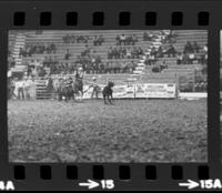 Roy Burk Calf roping, 4th Perf.