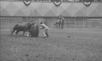 Tommy Sheffield, Rodeo clown, Bull fighting