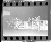 Tony Coleman on Saddle bronc 101