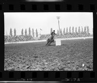 D.J. Walker Barrel racing