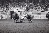 Albert Heimer Steer wrestling