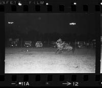 Gary Hanna Calf roping