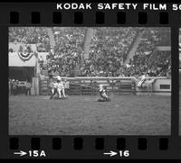 Terry Davidson Calf roping