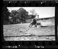 Unidentified Barrel racer