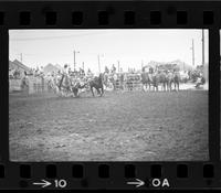 Norm Hazelbaker Steer wrestling, 5.4 Sec