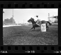 Peggy Carroll Barrel racing