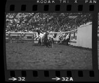 Ernie Taylor Calf roping