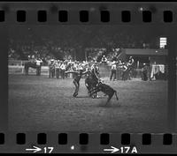 Roy Rerger Calf roping, 10.1 Sec