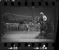 Jerry Ward Calf roping