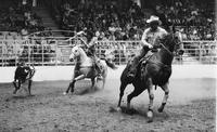 Pinkston & Cloud Team roping