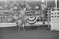 Randy Magers on Bull# T96