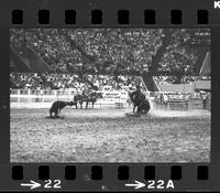 J.W.Fairington Calf roping