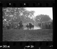 Eugene Weakley Steer wrestling, 6.1 Sec