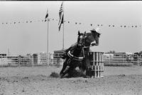 Dianna Luthi Barrel racing