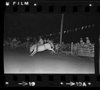 Unidentified Bareback rider