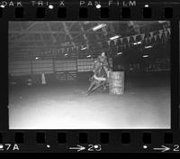 Unidentified Barrel racer