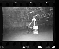 Unidentified Barrel racer