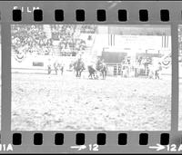 Bob Marshall Steer wrestling