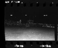 Jack Wiseman Steer wrestling