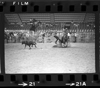 Bobby Goodspeed Calf roping