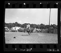 Tom Oar on Saddle bronc #66