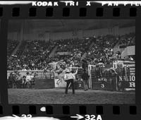 Mel Hyland on Chief Crazy Horse