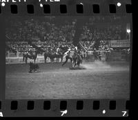 Randy Brannon Calf roping, 9.3 Sec