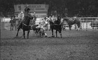 Doug Janke Steer wrestling