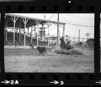 Jim Treadway Calf roping