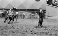 Buddy Geter Calf roping