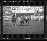Stan Williamson Steer wrestling