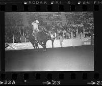 Ronnie Bowman on Bull #107