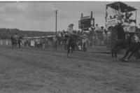 Dennis George on Hammer Head