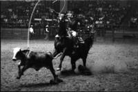 Ralph Kelly Calf roping